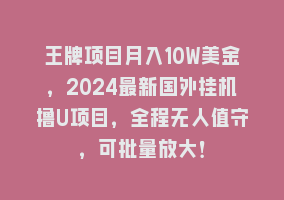 王牌项目月入10W美金，2024最新国外挂机撸U项目，全程无人值守，可批量放大！868网课-868网课系统868网课系统