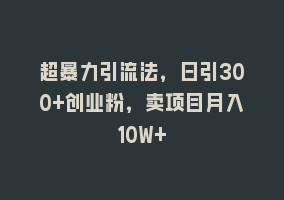 超暴力引流法，日引300+创业粉，卖项目月入10W+868网课-868网课系统868网课系统