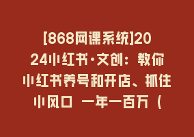 [868网课系统]2024小红书·文创：教你小红书养号和开店、抓住小风口 一年一百万 (9节课)868网课-868网课系统868网课系统