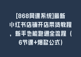 [868网课系统]最新小红书店铺开店带货教程，新手也能跑通全流程（6节课+爆款公式）868网课-868网课系统868网课系统