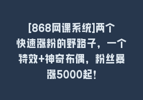 [868网课系统]两个快速涨粉的野路子，一个特效+神奇布偶，粉丝暴涨5000起！868网课-868网课系统868网课系统