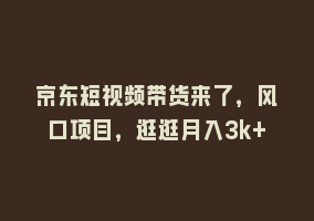 京东短视频带货来了，风口项目，逛逛月入3k+868网课-868网课系统868网课系统