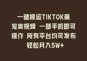 一键搬运TIKTOK萌宠类视频 一部手机即可操作 所有平台均可发布 轻松月入5W+868网课-868网课系统868网课系统