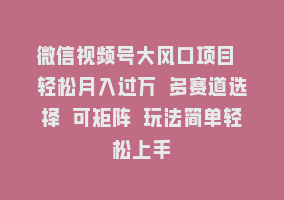 微信视频号大风口项目 轻松月入过万 多赛道选择 可矩阵 玩法简单轻松上手868网课-868网课系统868网课系统