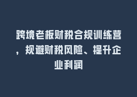 跨境老板财税合规训练营，规避财税风险、提升企业利润868网课-868网课系统868网课系统