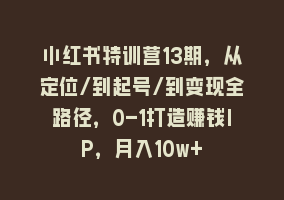 小红书特训营13期，从定位/到起号/到变现全路径，0-1打造赚钱IP，月入10w+868网课-868网课系统868网课系统