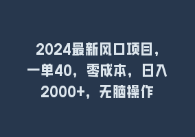 2024最新风口项目，一单40，零成本，日入2000+，无脑操作868网课-868网课系统868网课系统