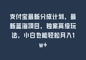 支付宝最新分成计划，最新蓝海项目，独家高级玩法，小白也能轻松月入1w+868网课-868网课系统868网课系统