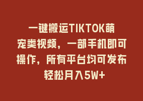 一键搬运TIKTOK萌宠类视频，一部手机即可操作，所有平台均可发布 轻松月入5W+868网课-868网课系统868网课系统