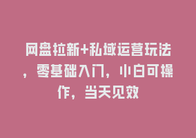 网盘拉新+私域运营玩法，零基础入门，小白可操作，当天见效868网课-868网课系统868网课系统