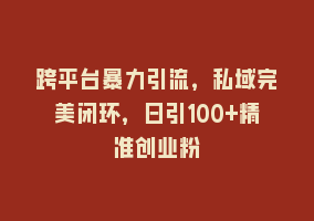 跨平台暴力引流，私域完美闭环，日引100+精准创业粉868网课-868网课系统868网课系统