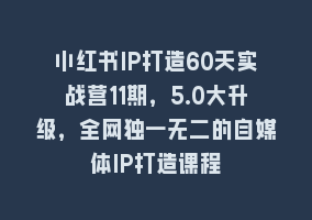 小红书IP打造60天实战营11期，5.0大升级，全网独一无二的自媒体IP打造课程868网课-868网课系统868网课系统