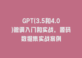 GPT(3.5和4.0)微调入门和实战，源码数据集实战案例868网课-868网课系统868网课系统