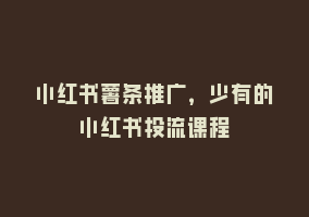 小红书薯条推广，少有的小红书投流课程868网课-868网课系统868网课系统