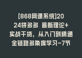 [868网课系统]2024拼多多 最新理论+实战干货，从入门到精通全链路多角度学习-7节课868网课-868网课系统868网课系统