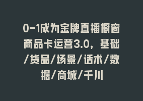 0-1成为金牌直播橱窗商品卡运营3.0，基础/货品/场景/话术/数据/商城/千川868网课-868网课系统868网课系统