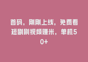 首码，刚刚上线，免费看短剧刷视频赚米，单机50+868网课-868网课系统868网课系统