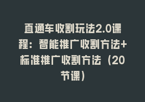 直通车收割玩法2.0课程：智能推广收割方法+标准推广收割方法（20节课）868网课-868网课系统868网课系统