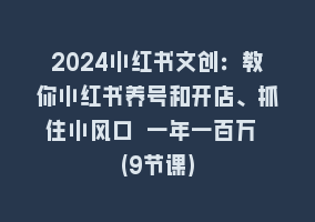 2024小红书文创：教你小红书养号和开店、抓住小风口 一年一百万 (9节课)868网课-868网课系统868网课系统