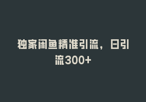 独家闲鱼精准引流，日引流300+868网课-868网课系统868网课系统