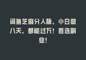 闲鱼芝麻分人脉，小白做八天，都能过万！首选副业！868网课-868网课系统868网课系统