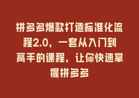 拼多多爆款打造标准化流程2.0，一套从入门到高手的课程，让你快速掌握拼多多868网课-868网课系统868网课系统