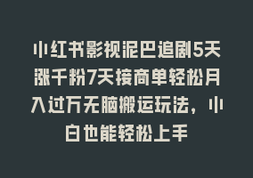 小红书影视泥巴追剧5天涨千粉7天接商单轻松月入过万无脑搬运玩法，小白也能轻松上手868网课-868网课系统868网课系统