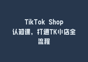 TikTok Shop认知课，打通TK小店全流程868网课-868网课系统868网课系统