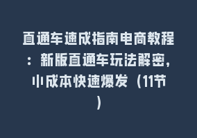 直通车速成指南电商教程：新版直通车玩法解密，小成本快速爆发（11节）868网课-868网课系统868网课系统