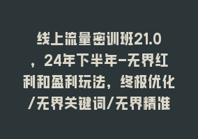 线上流量密训班21.0，24年下半年-无界红利和盈利玩法，终极优化/无界关键词/无界精准人群868网课-868网课系统868网课系统