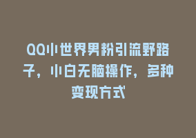 QQ小世界男粉引流野路子，小白无脑操作，多种变现方式868网课-868网课系统868网课系统