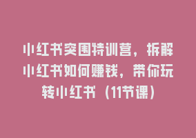 小红书突围特训营，拆解小红书如何赚钱，带你玩转小红书（11节课）868网课-868网课系统868网课系统