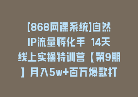 [868网课系统]自然IP流量孵化手 14天线上实操特训营【第9期】月入5w+百万爆款打造 (74节)868网课-868网课系统868网课系统