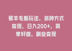 薅羊毛新玩法，多种方式变现，日入200+，简单好做，副业变现868网课-868网课系统868网课系统