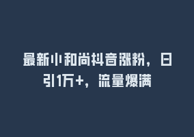 最新小和尚抖音涨粉，日引1万+，流量爆满868网课-868网课系统868网课系统