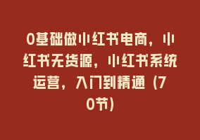 0基础做小红书电商，小红书无货源，小红书系统运营，入门到精通 (70节)868网课-868网课系统868网课系统