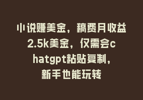 小说赚美金，稿费月收益2.5k美金，仅需会chatgpt粘贴复制，新手也能玩转868网课-868网课系统868网课系统