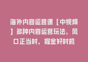 海外内容运营课【中视频】多种内容运营玩法，风口正当时，掘金好时机868网课-868网课系统868网课系统