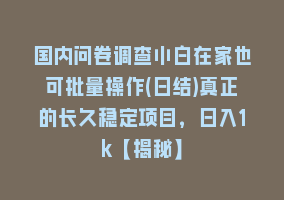 国内问卷调查小白在家也可批量操作(日结)真正的长久稳定项目，日入1k【揭秘】868网课-868网课系统868网课系统