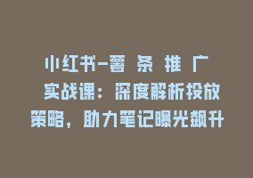 小红书-薯 条 推 广 实战课：深度解析投放策略，助力笔记曝光飙升868网课-868网课系统868网课系统