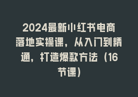 2024最新小红书电商落地实操课，从入门到精通，打造爆款方法（16节课）868网课-868网课系统868网课系统