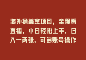 海外撸美金项目，全程看直播，小白轻松上手，日入一两张，可多账号操作868网课-868网课系统868网课系统