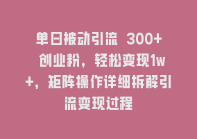 单日被动引流 300+ 创业粉，轻松变现1w+，矩阵操作详细拆解引流变现过程868网课-868网课系统868网课系统