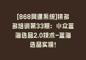 [868网课系统]拼多多培训第33期：小众蓝海选品2.0技术-蓝海选品实操！868网课-868网课系统868网课系统