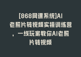 [868网课系统]AI老照片转视频实操训练营，一线玩家教你AI老照片转视频868网课-868网课系统868网课系统