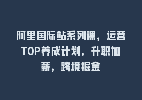 阿里国际站系列课，运营TOP养成计划，升职加薪，跨境掘金868网课-868网课系统868网课系统