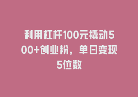 利用杠杆100元撬动500+创业粉，单日变现5位数868网课-868网课系统868网课系统