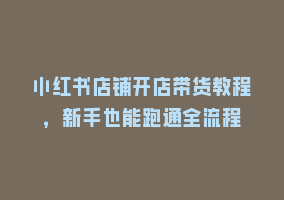 小红书店铺开店带货教程，新手也能跑通全流程868网课-868网课系统868网课系统