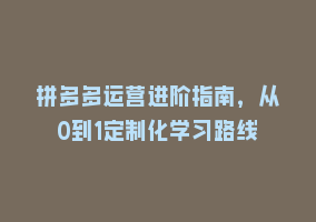 拼多多运营进阶指南，从0到1定制化学习路线868网课-868网课系统868网课系统