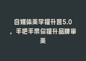 自媒体美学提升营5.0，手把手带你提升品牌审美868网课-868网课系统868网课系统